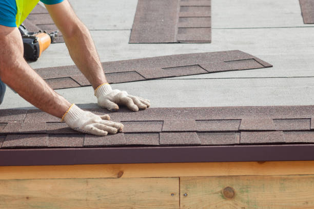 Best Skylight Installation and Repair  in Pocatello, ID